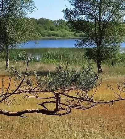 'T Vosje-3