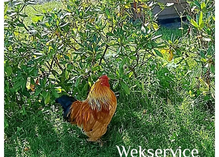 Aan 't weitje Villa Ermelo